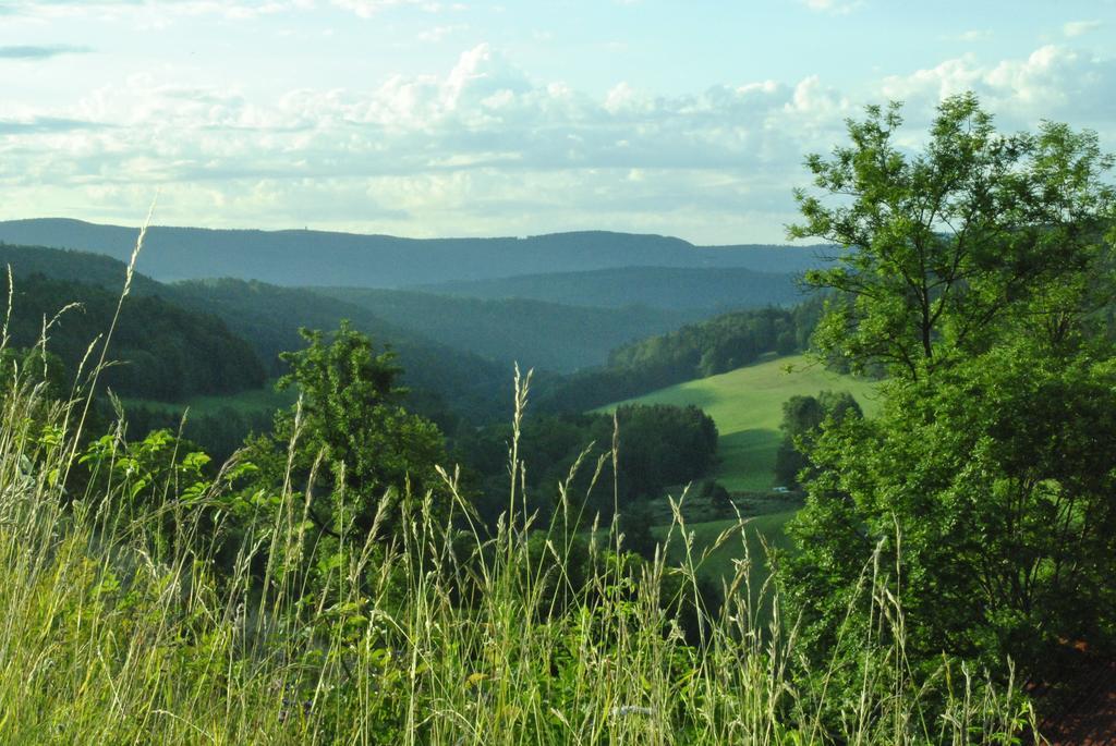 Gasthaus Kranz Lausheim Kültér fotó