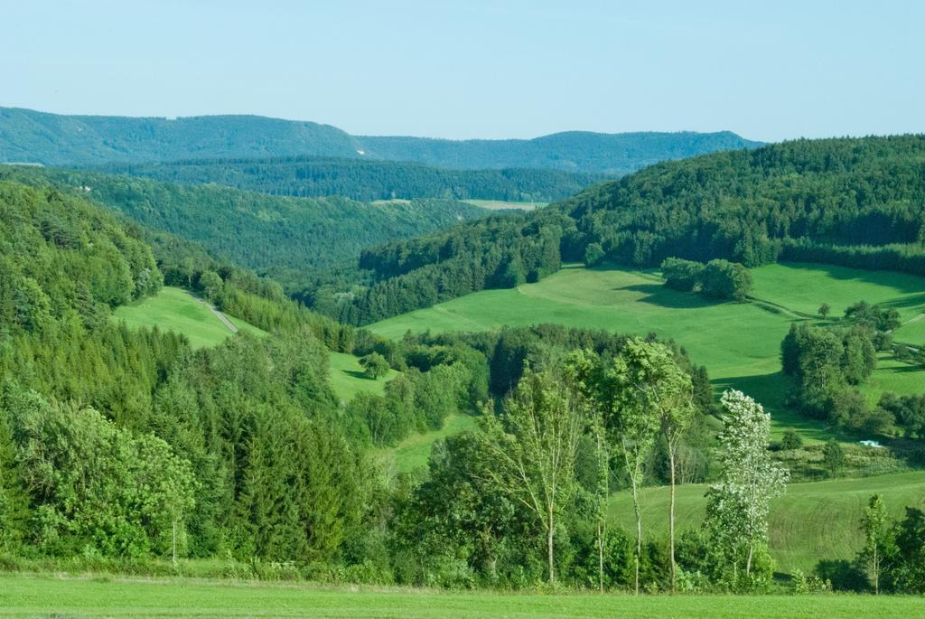 Gasthaus Kranz Lausheim Kültér fotó